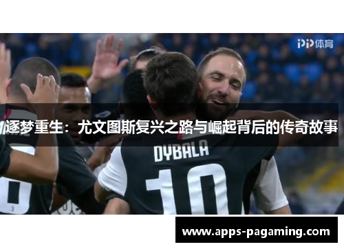 逐梦重生：尤文图斯复兴之路与崛起背后的传奇故事
