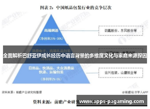 全面解析巴舒亚伊成长经历中语言背景的多维度文化与家庭来源探因