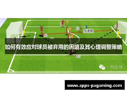 如何有效应对球员被弃用的困境及其心理调整策略
