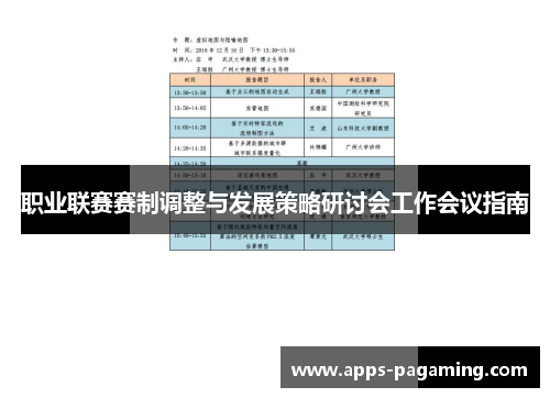 职业联赛赛制调整与发展策略研讨会工作会议指南 职业联赛赛制调整与发展策略研讨会工作会议指南