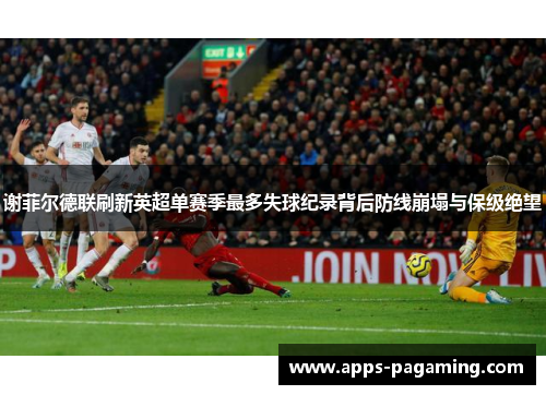 谢菲尔德联刷新英超单赛季最多失球纪录背后防线崩塌与保级绝望 谢菲尔德联刷新英超单赛季最多失球纪录背后防线崩塌与保级绝望